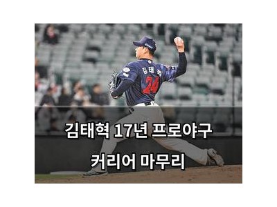 김태혁 17년 프로야구 커리어 마무리