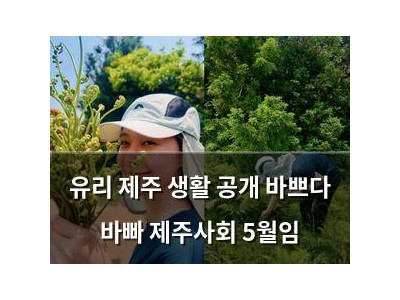 유리 제주 생활 공개 바쁘다 바빠 제주사회 5월임