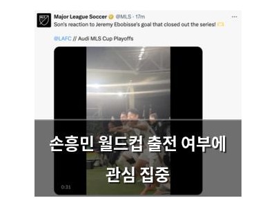 손흥민 월드컵 출전 여부에 관심 집중