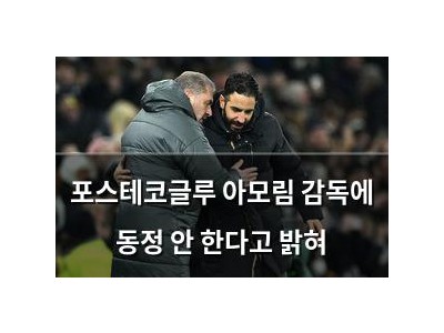 포스테코글루 아모림 감독에 동정 안 한다고 밝혀