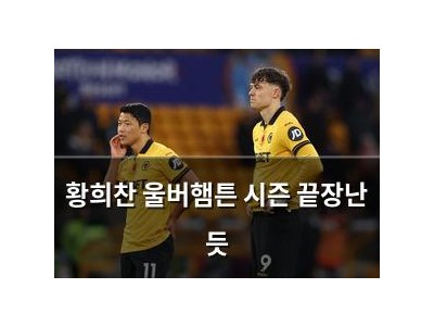 황희찬 울버햄튼 시즌 끝장난 듯