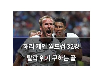 해리 케인 월드컵 32강 탈락 위기 구하는 골