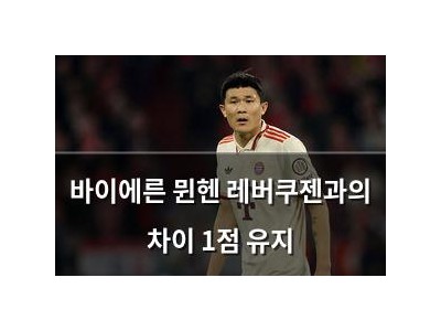 바이에른 뮌헨 레버쿠젠과의 차이 1점 유지
