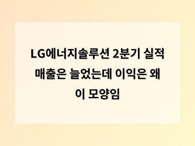 LG에너지솔루션 2분기 실적 매출은 늘었는데 이익은 왜 이 모양임