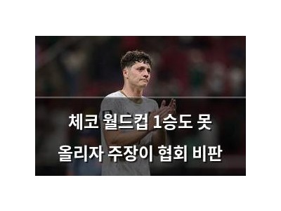 체코 월드컵 1승도 못 올리자 주장이 협회 비판