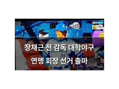 장채근 전 감독 대학야구 연맹 회장 선거 출마