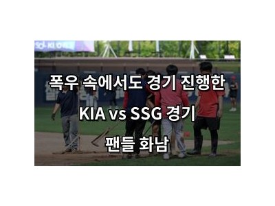 폭우 속에서도 경기 진행한 KIA vs SSG 경기 팬들 화남