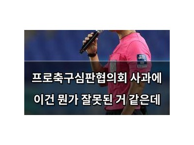 프로축구심판협의회 사과에 이건 뭔가 잘못된 거 같은데